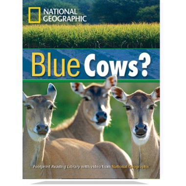 Blue Cows?
